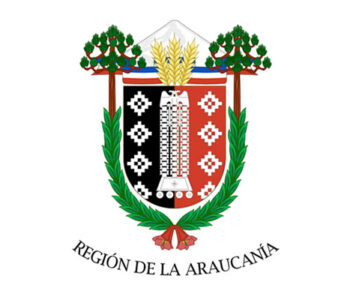 Escudo - Region de La Araucania / permisodecirculacionchile.cl