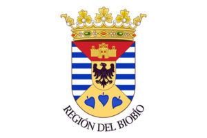 Escudo - Región del Biobio / permisodecirculacionchile.cl