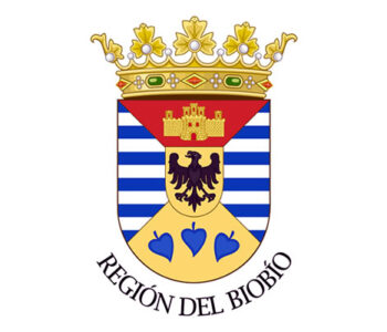 Escudo - Región del Biobio / permisodecirculacionchile.cl