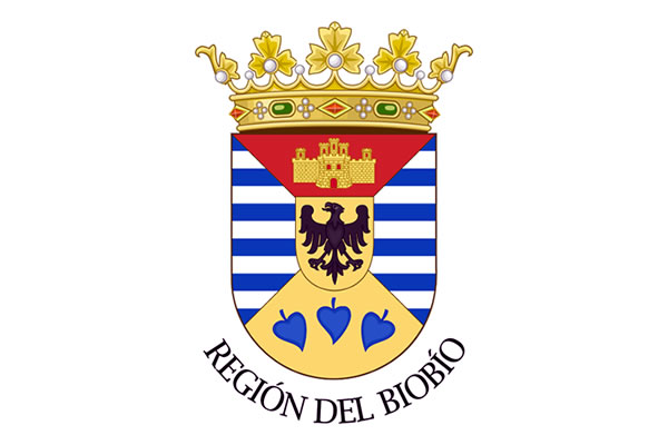 Escudo - Región del Biobio / permisodecirculacionchile.cl