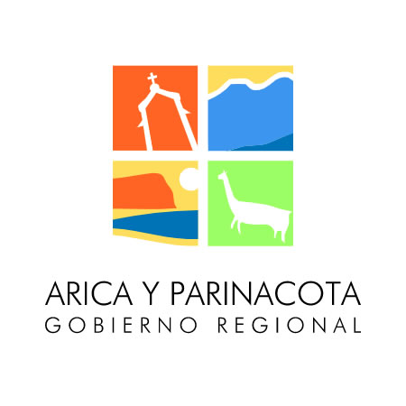 Permiso circulacion Arica y Parinacota